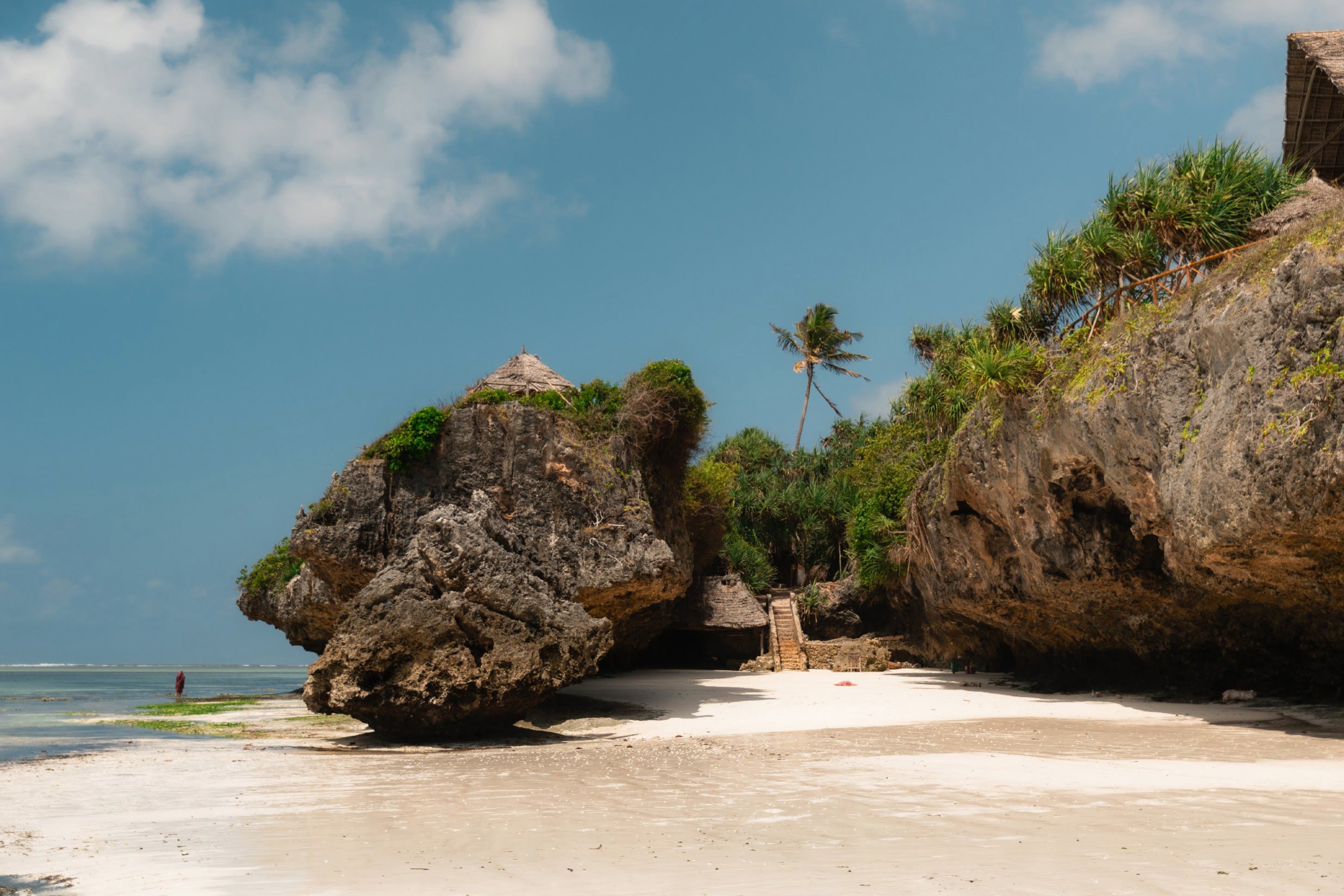 An empty Zanzibar cove with a single palm leaning toward the Indian Ocean.