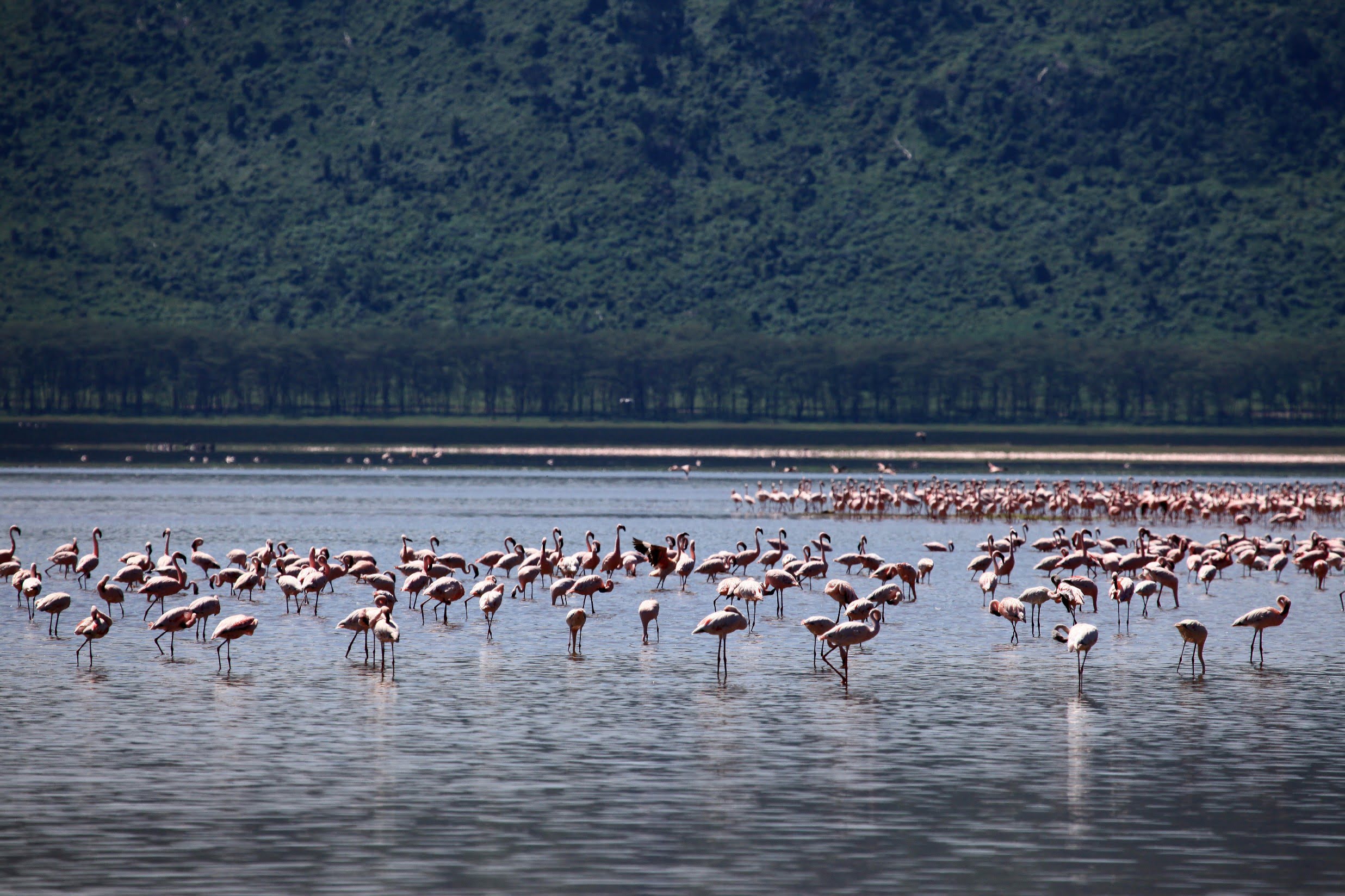 Lake Manyara National Park