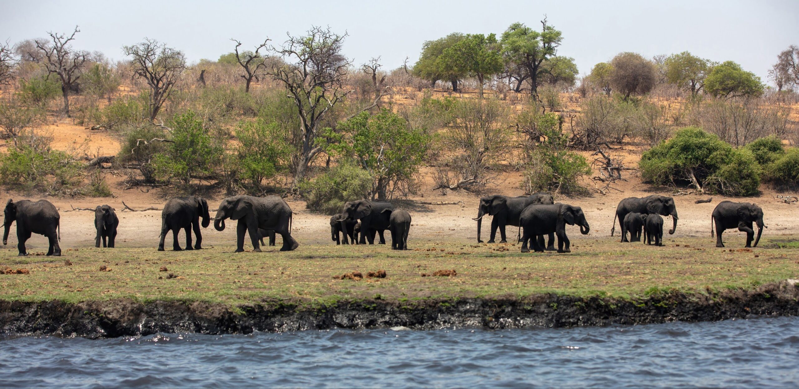 Ruaha National Park