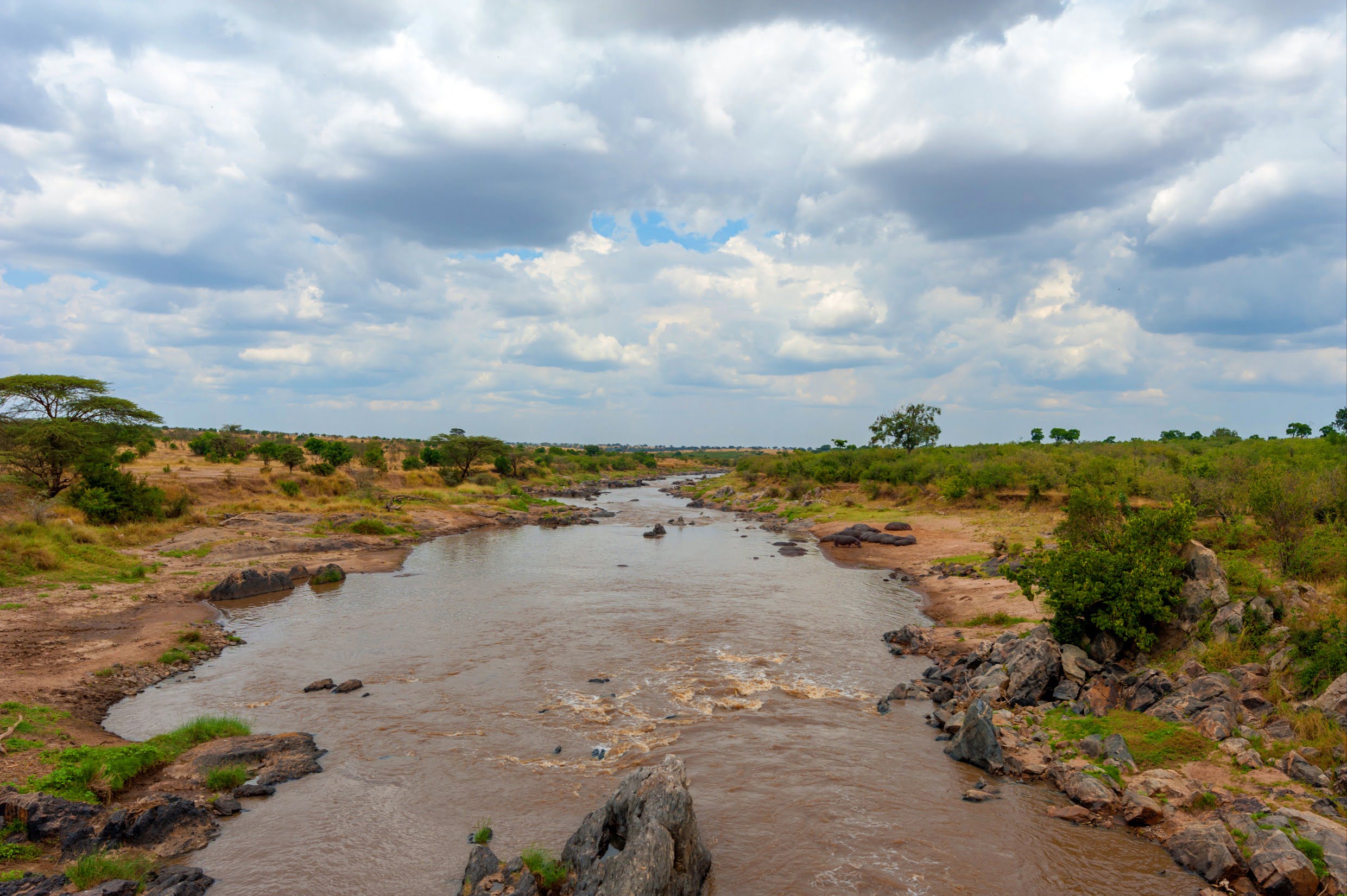 Western Corridor (Grumeti River) — May to July