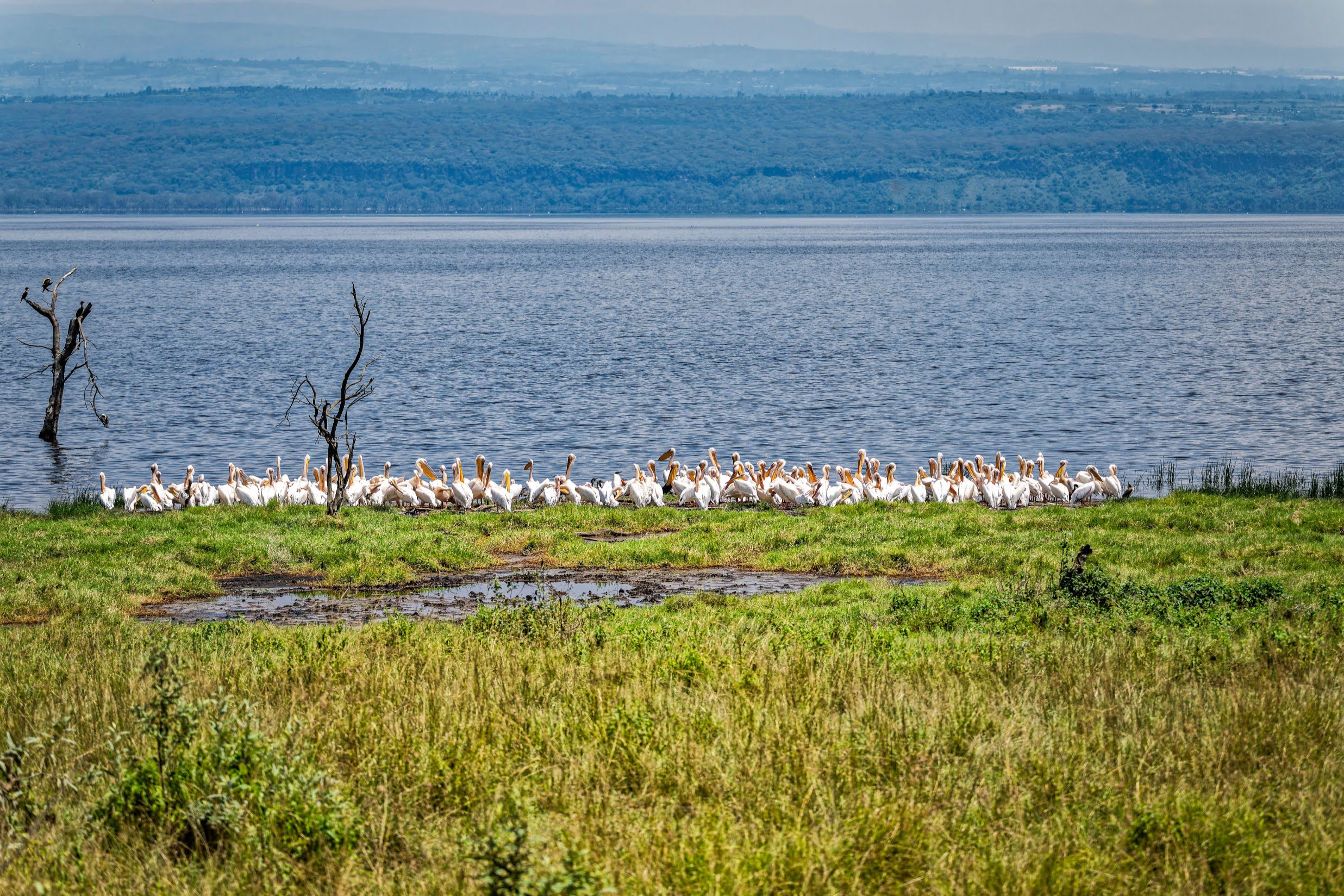 Lake Victoria & Jinja