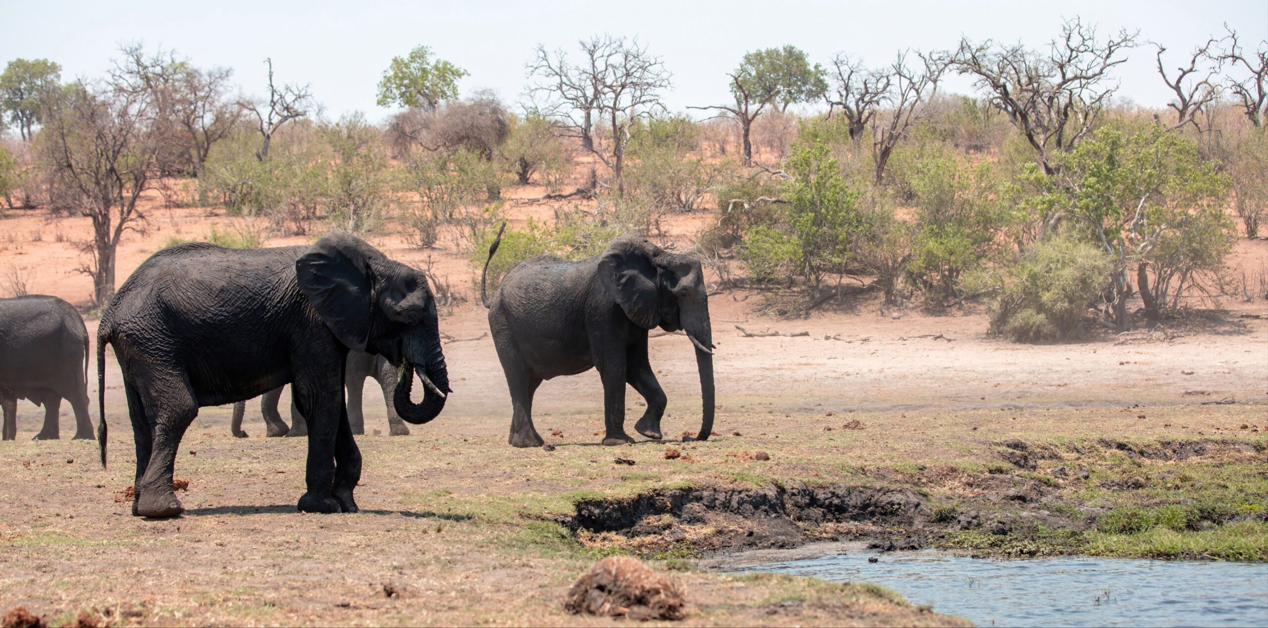 Hwange National Park