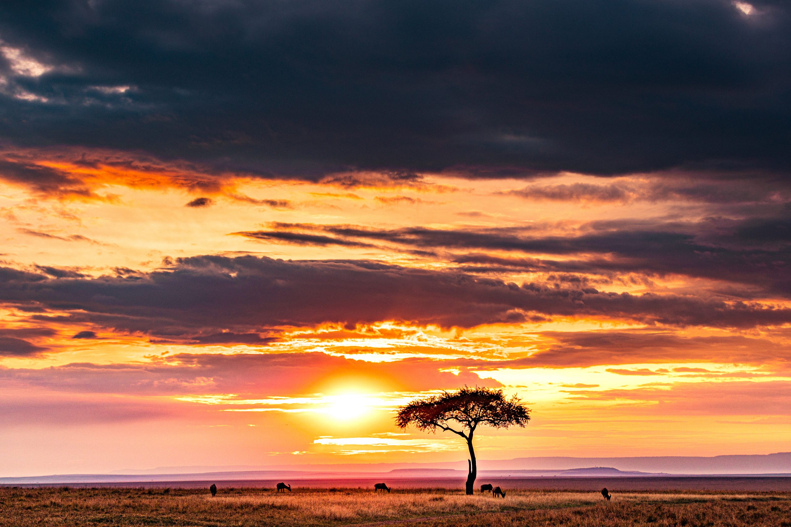 Matthews Range & Namunyak Conservancy
